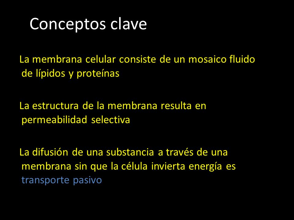 Conceptos clave La membrana celular consiste de un mosaico fluido de lípidos y proteínas.