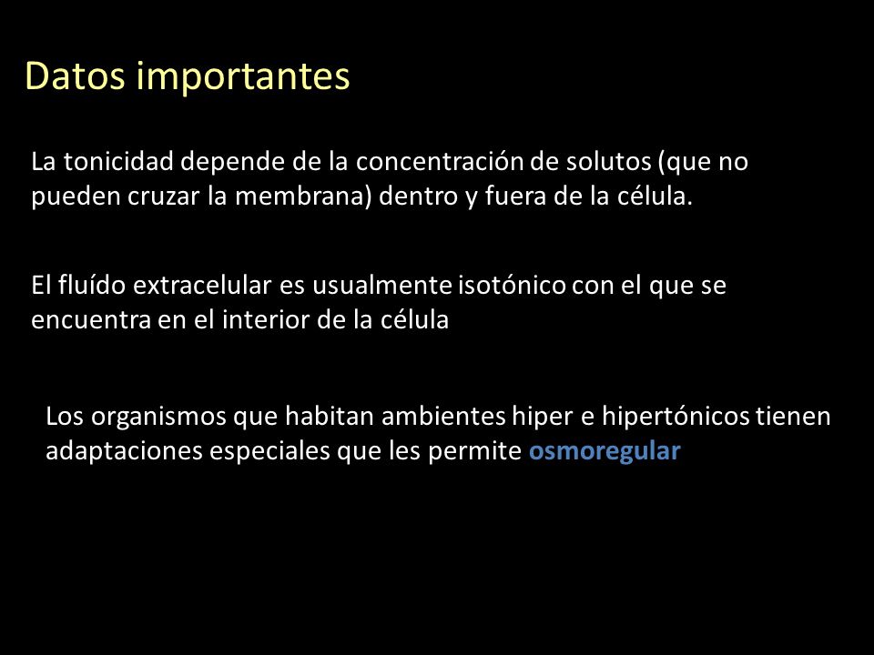 Datos importantes La tonicidad depende de la concentración de solutos (que no pueden cruzar la membrana) dentro y fuera de la célula.