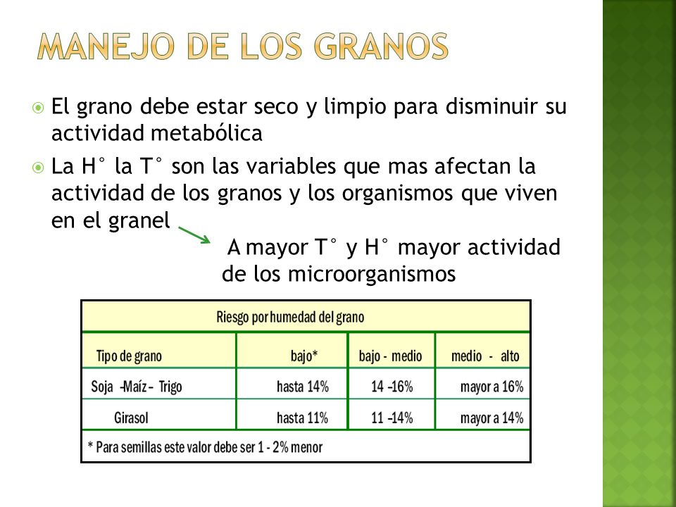 Manejo de los granos El grano debe estar seco y limpio para disminuir su actividad metabólica.
