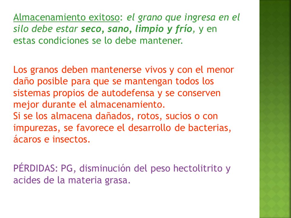 Almacenamiento exitoso: el grano que ingresa en el silo debe estar seco, sano, limpio y frío, y en estas condiciones se lo debe mantener.