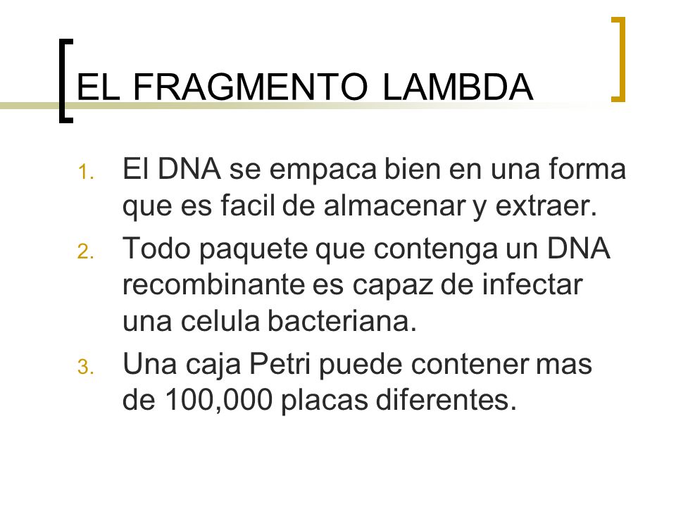 EL FRAGMENTO LAMBDA El DNA se empaca bien en una forma que es facil de almacenar y extraer.