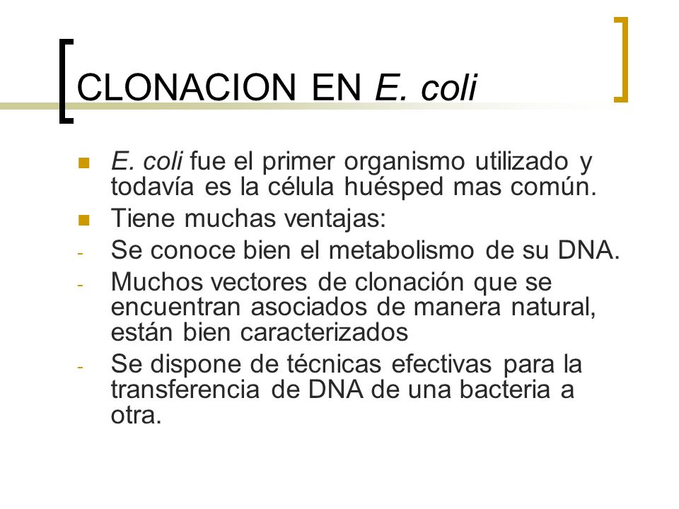 CLONACION EN E. coli E. coli fue el primer organismo utilizado y todavía es la célula huésped mas común.