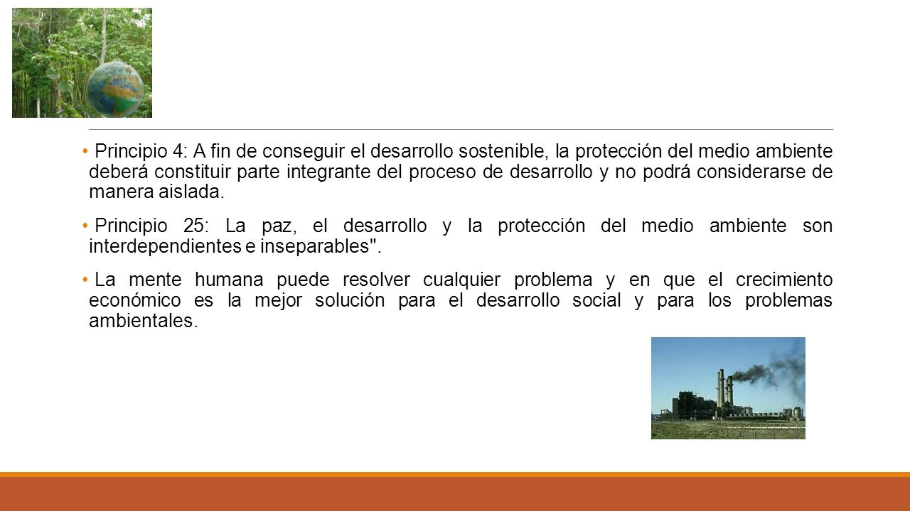 Principio 4: A fin de conseguir el desarrollo sostenible, la protección del medio ambiente deberá constituir parte integrante del proceso de desarrollo y no podrá considerarse de manera aislada.