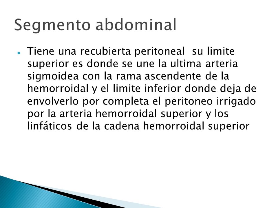 Tiene una recubierta peritoneal su limite superior es donde se une la ultima arteria sigmoidea con la rama ascendente de la hemorroidal y el limite inferior donde deja de envolverlo por completa el peritoneo irrigado por la arteria hemorroidal superior y los linfáticos de la cadena hemorroidal superior