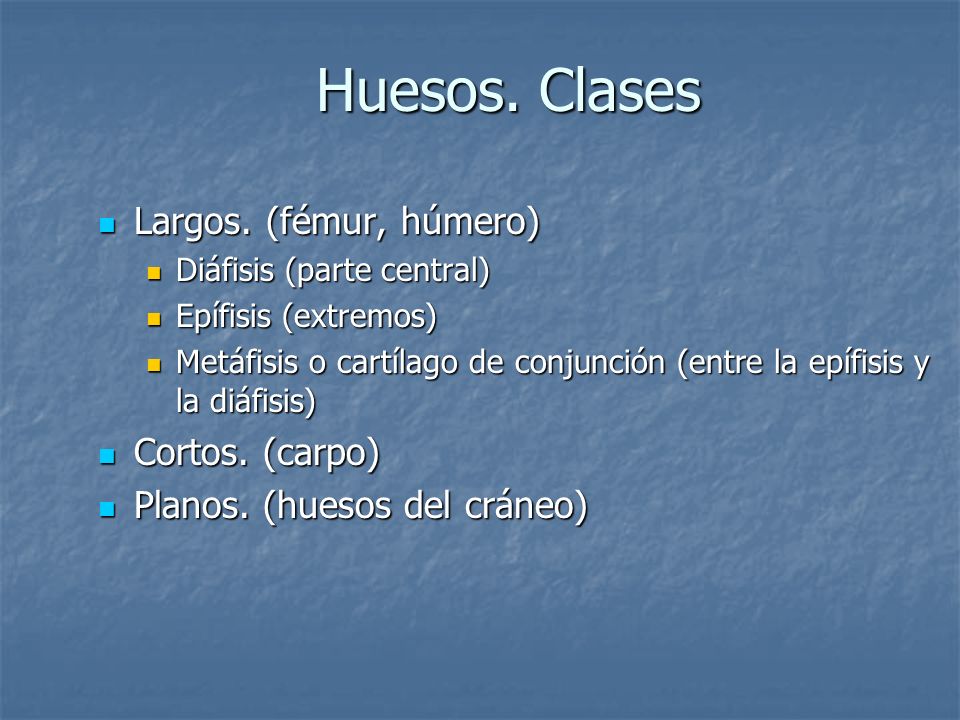 Huesos. Clases Largos. (fémur, húmero) Cortos. (carpo)