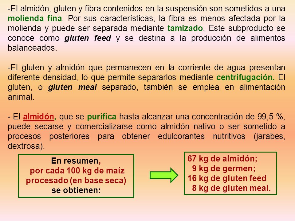 por cada 100 kg de maíz procesado (en base seca) se obtienen: