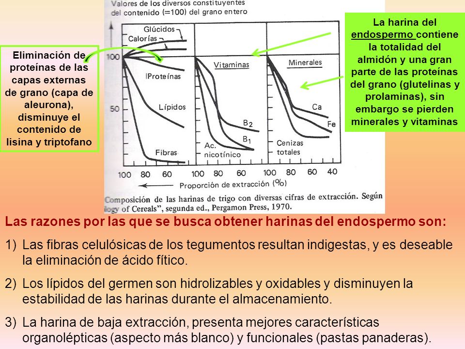 Las razones por las que se busca obtener harinas del endospermo son: