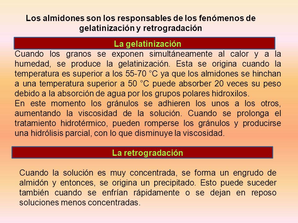 Los almidones son los responsables de los fenómenos de gelatinización y retrogradación