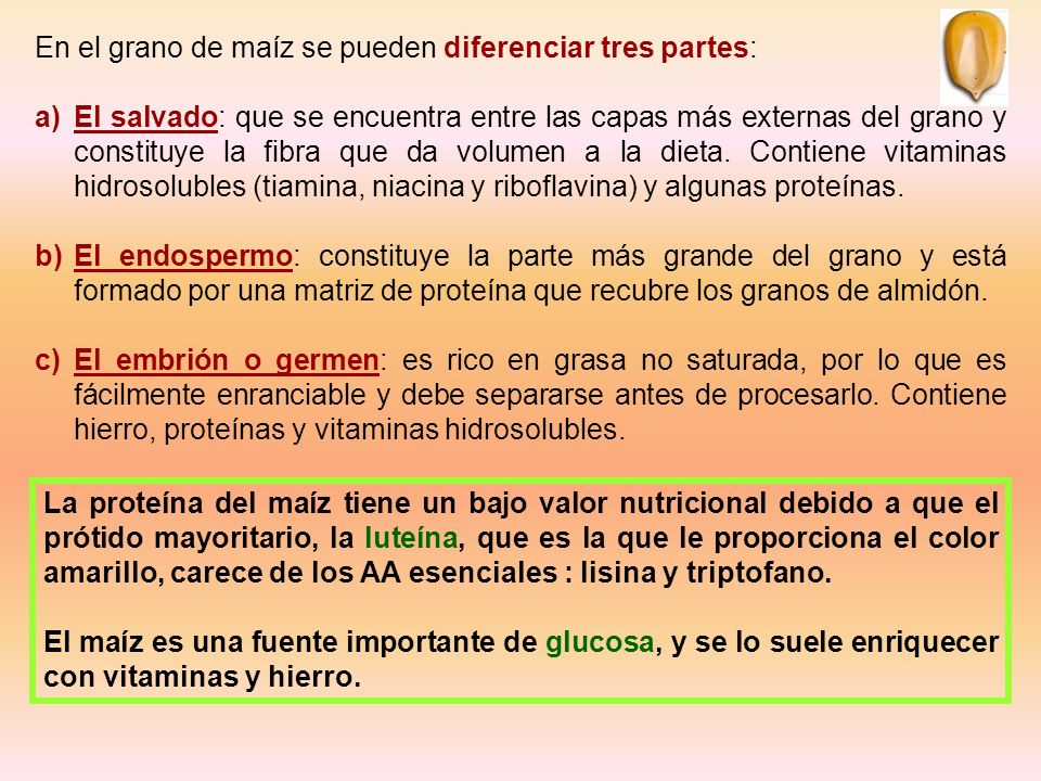 En el grano de maíz se pueden diferenciar tres partes:
