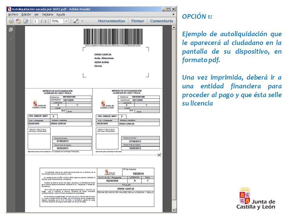 OPCIÓN 1: Ejemplo de autoliquidación que le aparecerá al ciudadano en la pantalla de su dispositivo, en formato pdf.