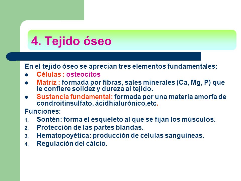 4. Tejido óseo En el tejido óseo se aprecian tres elementos fundamentales: Células : osteocitos.