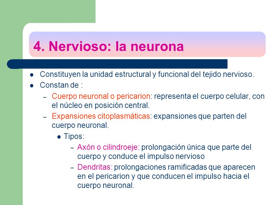 4. Nervioso: la neurona Constituyen la unidad estructural y funcional del tejido nervioso. Constan de :