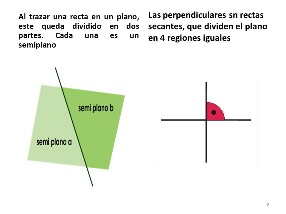 Las perpendiculares sn rectas secantes, que dividen el plano en 4 regiones iguales