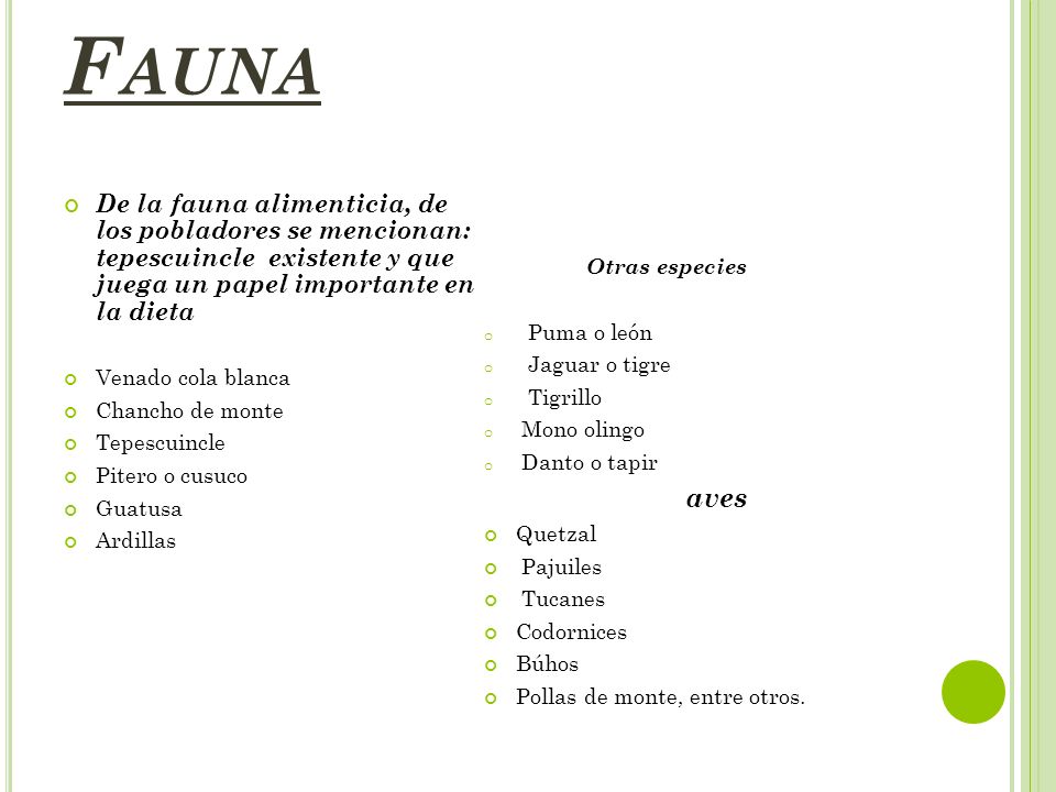 Fauna De la fauna alimenticia, de los pobladores se mencionan: tepescuincle existente y que juega un papel importante en la dieta.