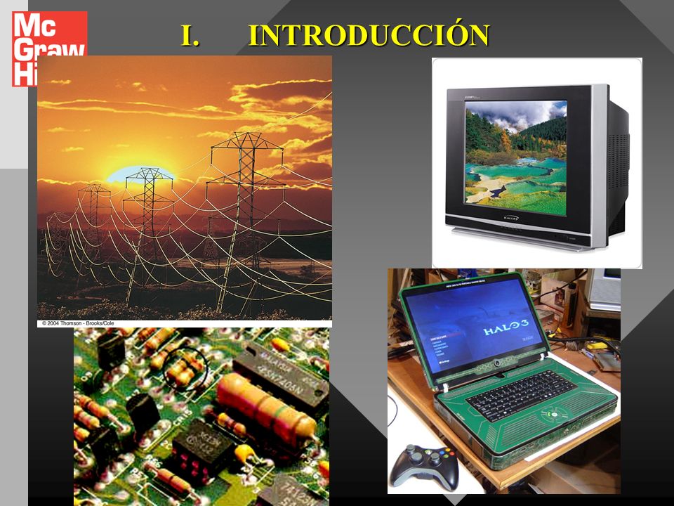 I. INTRODUCCIÓN