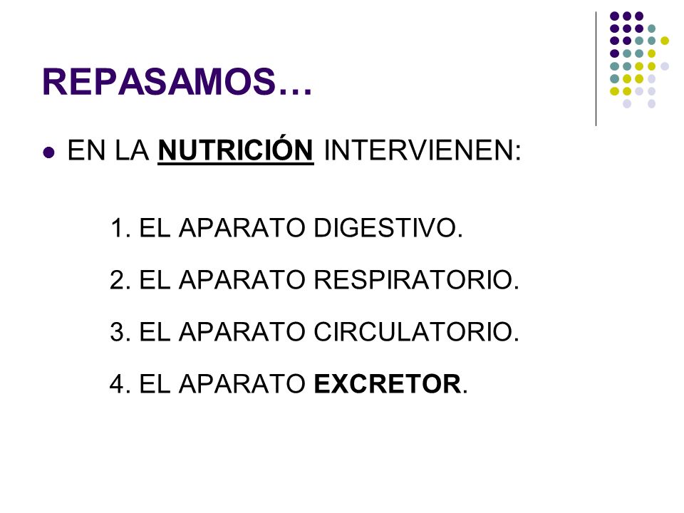 REPASAMOS… EN LA NUTRICIÓN INTERVIENEN: 1. EL APARATO DIGESTIVO.