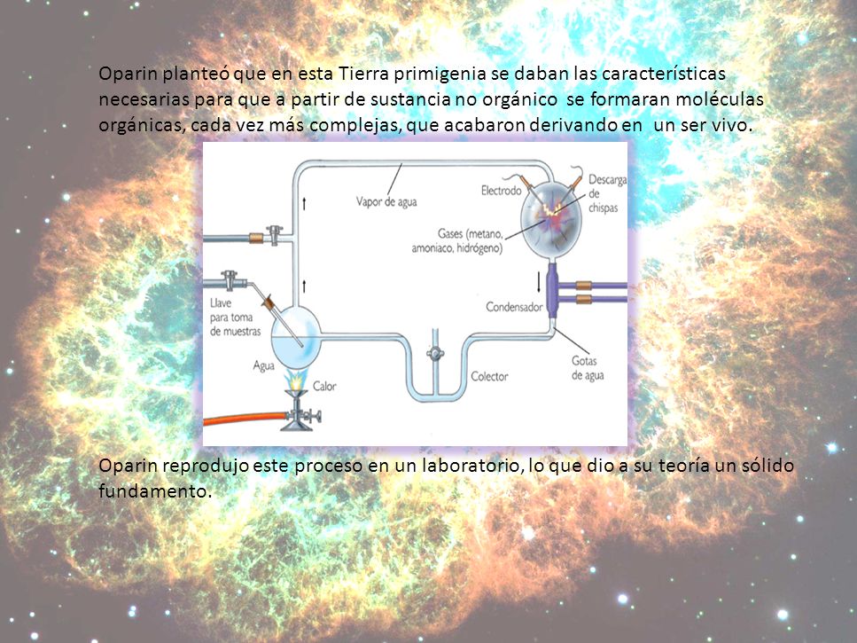 Oparin planteó que en esta Tierra primigenia se daban las características necesarias para que a partir de sustancia no orgánico se formaran moléculas orgánicas, cada vez más complejas, que acabaron derivando en un ser vivo.