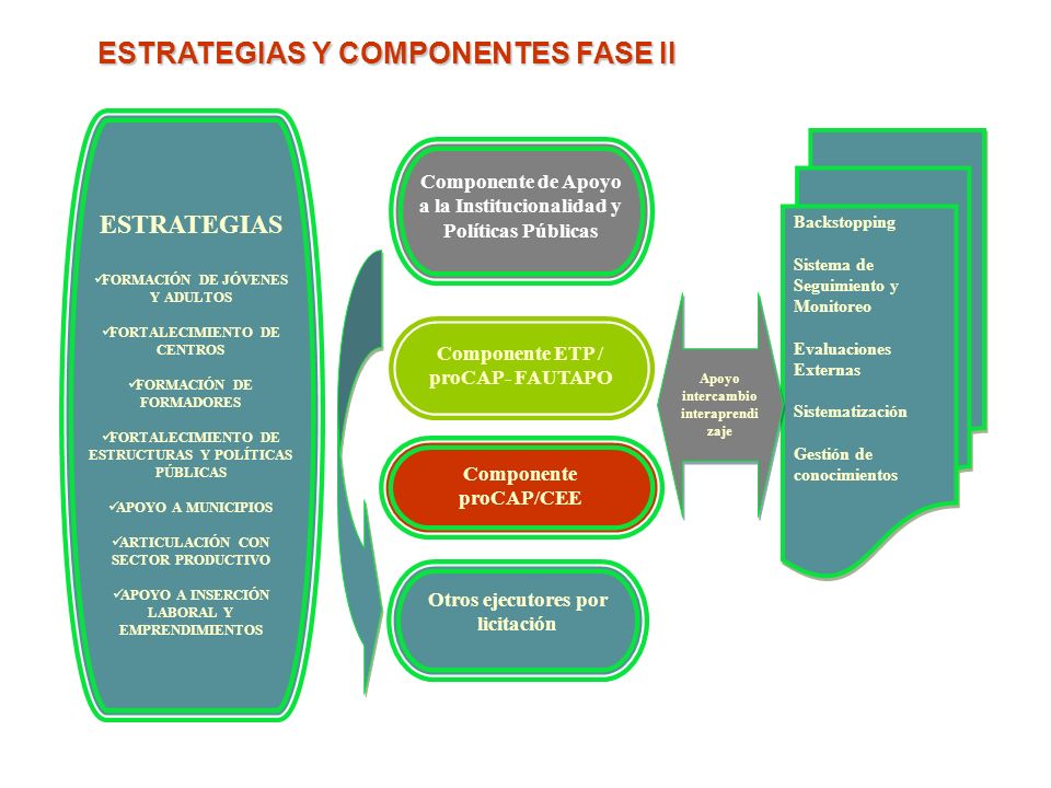 ESTRATEGIAS Y COMPONENTES FASE II