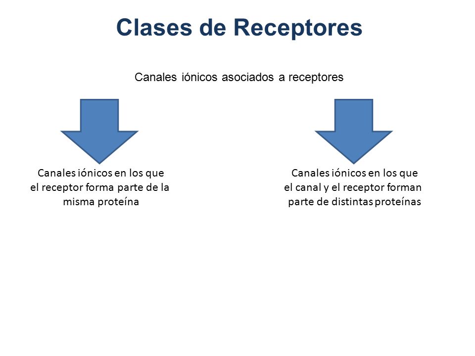 Clases de Receptores Canales iónicos asociados a receptores