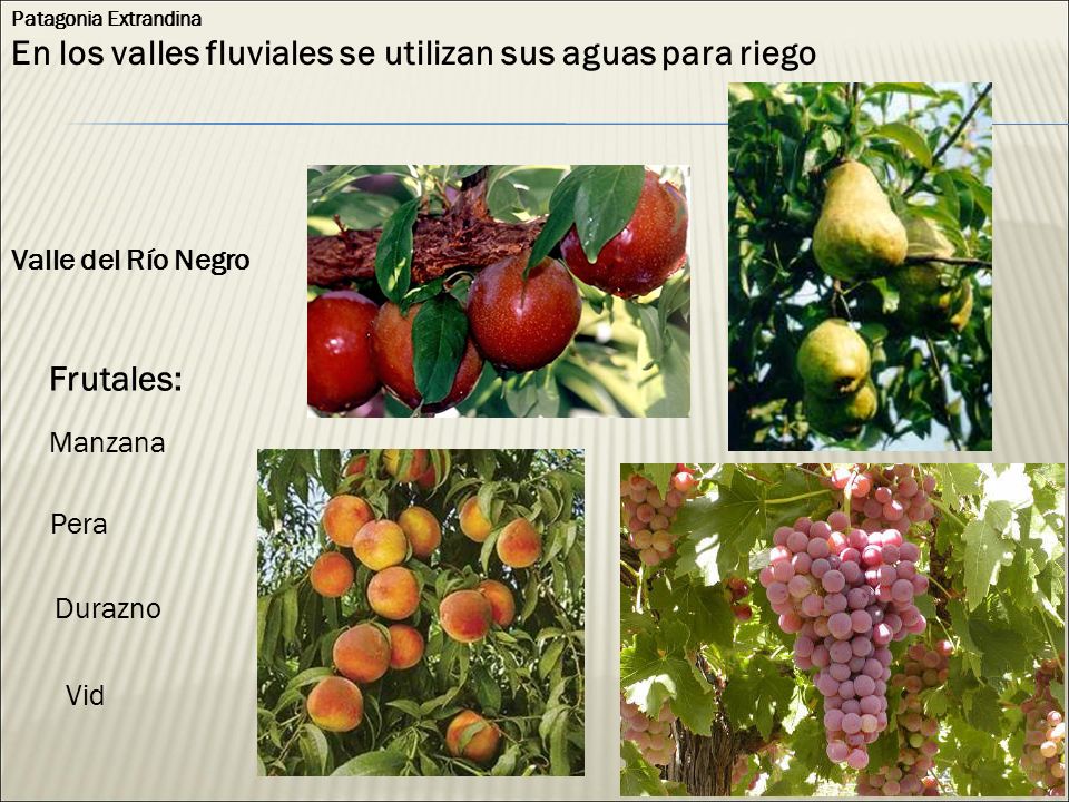 En los valles fluviales se utilizan sus aguas para riego
