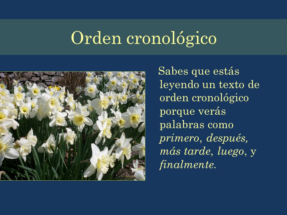Orden cronológico Sabes que estás leyendo un texto de orden cronológico porque verás palabras como primero, después, más tarde, luego, y finalmente.