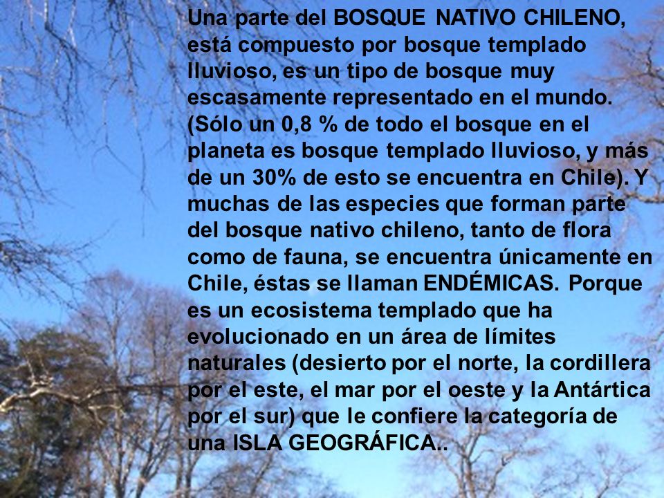 Una parte del BOSQUE NATIVO CHILENO, está compuesto por bosque templado lluvioso, es un tipo de bosque muy escasamente representado en el mundo.