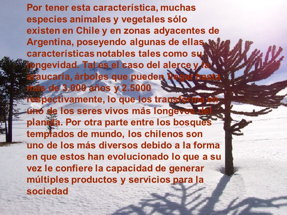 Por tener esta característica, muchas especies animales y vegetales sólo existen en Chile y en zonas adyacentes de Argentina, poseyendo algunas de ellas características notables tales como su longevidad.