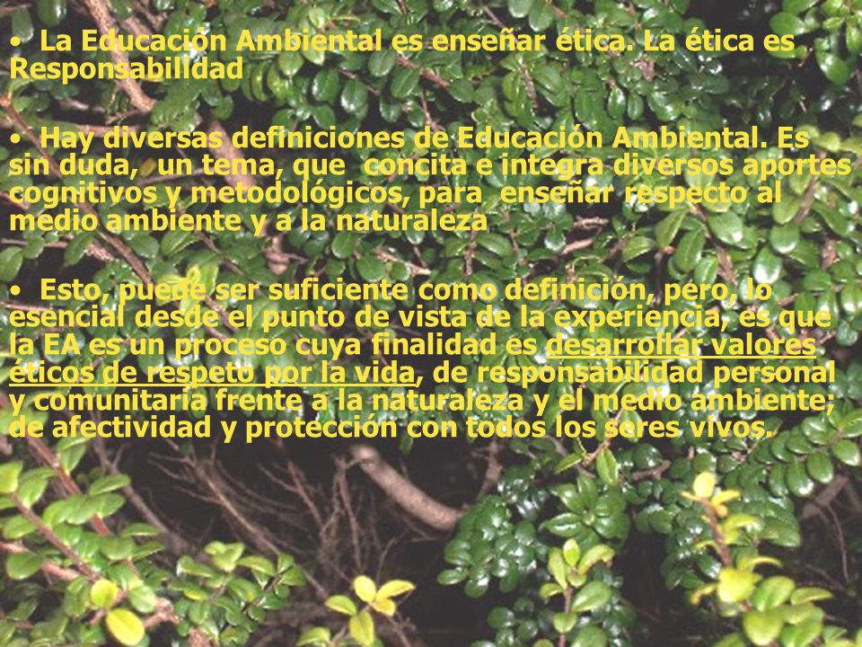 La Educación Ambiental es enseñar ética. La ética es Responsabilidad
