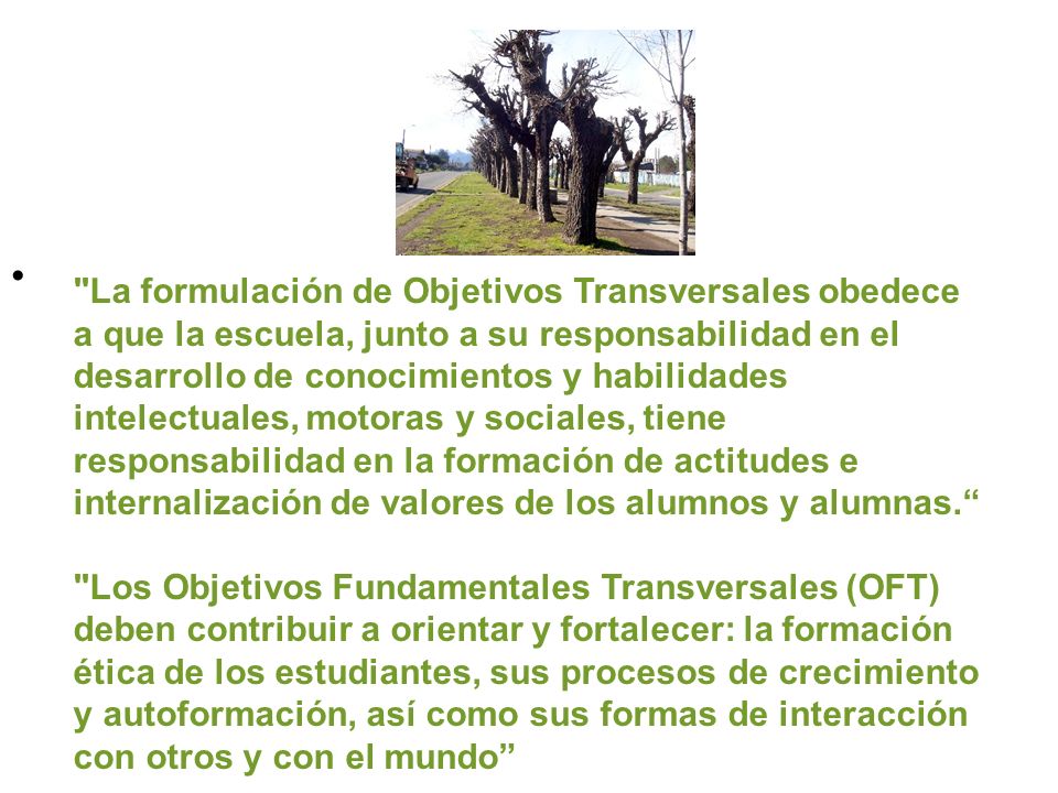 La formulación de Objetivos Transversales obedece a que la escuela, junto a su responsabilidad en el desarrollo de conocimientos y habilidades intelectuales, motoras y sociales, tiene responsabilidad en la formación de actitudes e internalización de valores de los alumnos y alumnas.