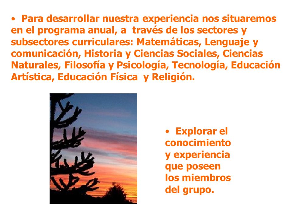 Para desarrollar nuestra experiencia nos situaremos en el programa anual, a través de los sectores y subsectores curriculares: Matemáticas, Lenguaje y comunicación, Historia y Ciencias Sociales, Ciencias Naturales, Filosofía y Psicología, Tecnología, Educación Artística, Educación Física y Religión.