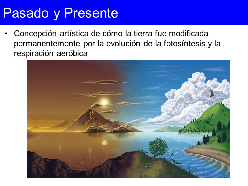 Pasado y Presente Concepción artística de cómo la tierra fue modificada permanentemente por la evolución de la fotosíntesis y la respiración aeróbica.