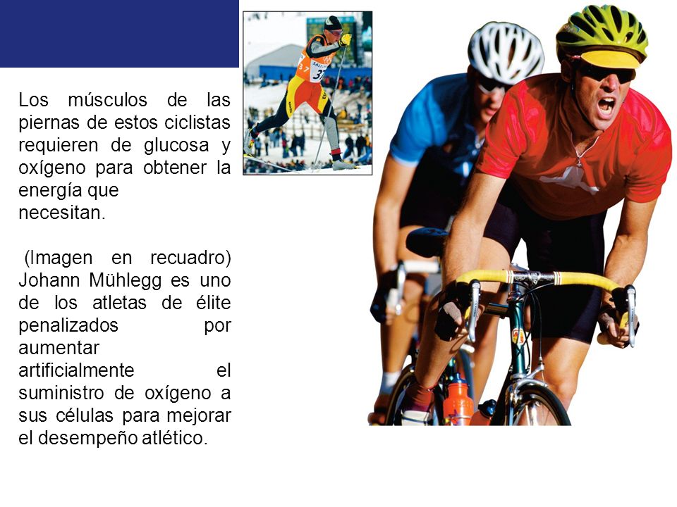 Los músculos de las piernas de estos ciclistas requieren de glucosa y oxígeno para obtener la energía que