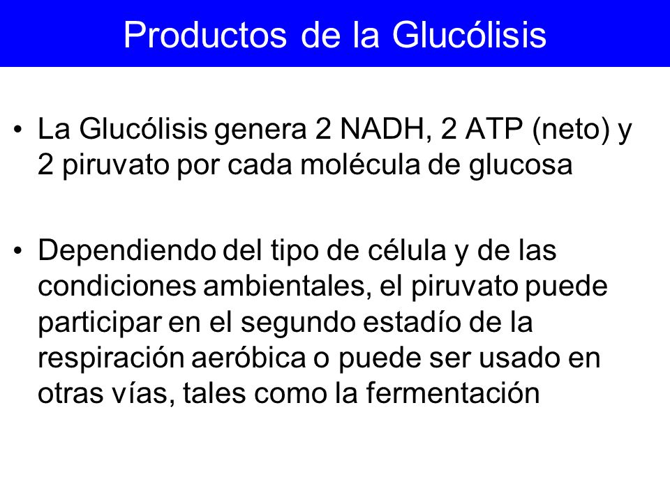 Productos de la Glucólisis