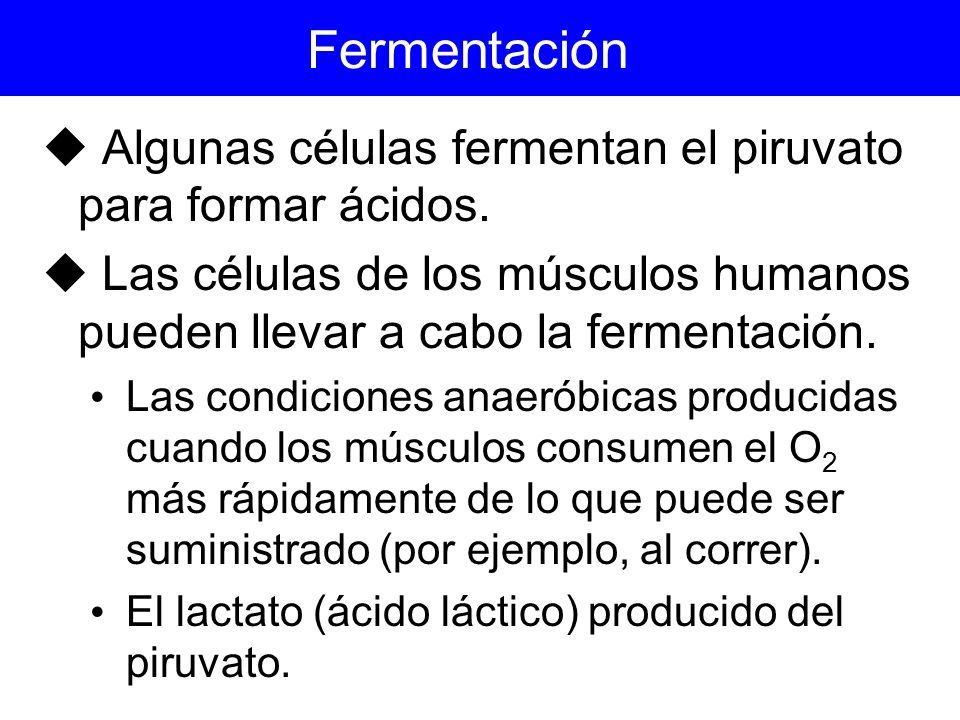 Fermentación Algunas células fermentan el piruvato para formar ácidos.
