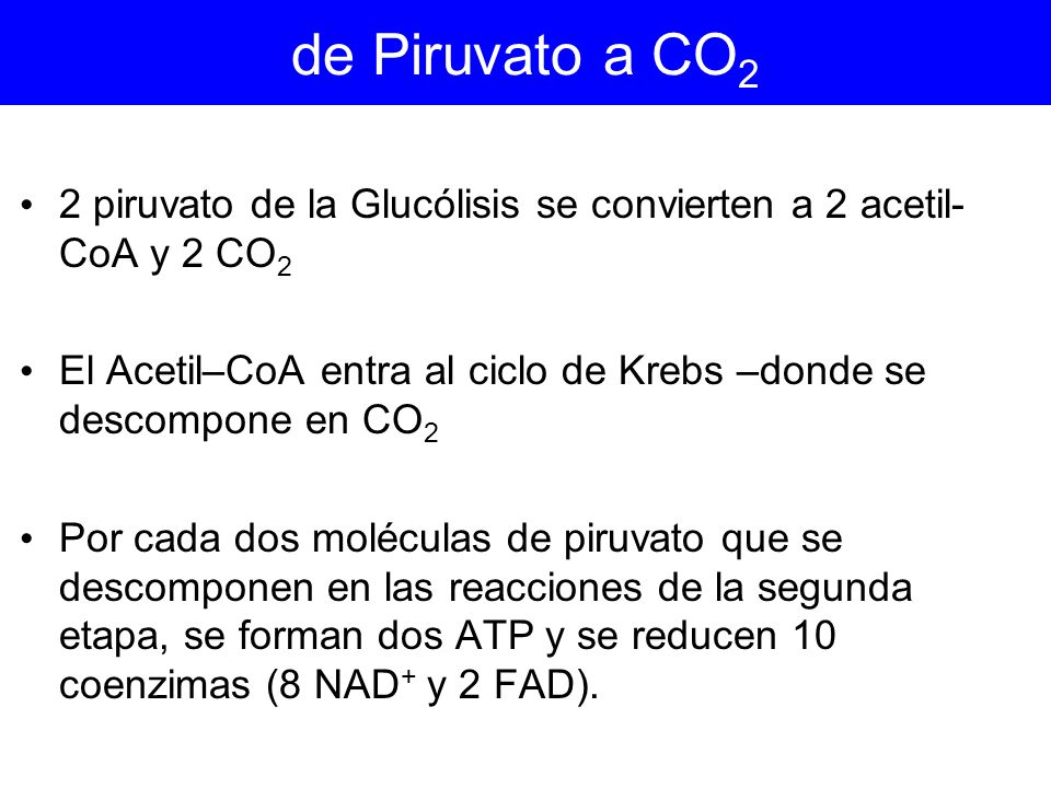 de Piruvato a CO2 2 piruvato de la Glucólisis se convierten a 2 acetil-CoA y 2 CO2.