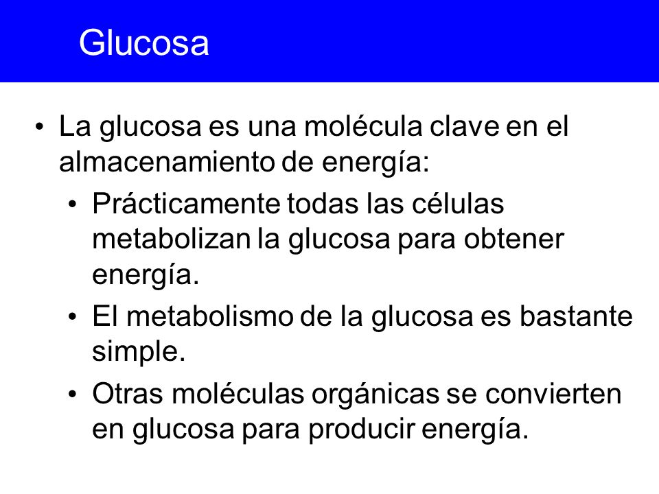 Glucosa La glucosa es una molécula clave en el almacenamiento de energía: