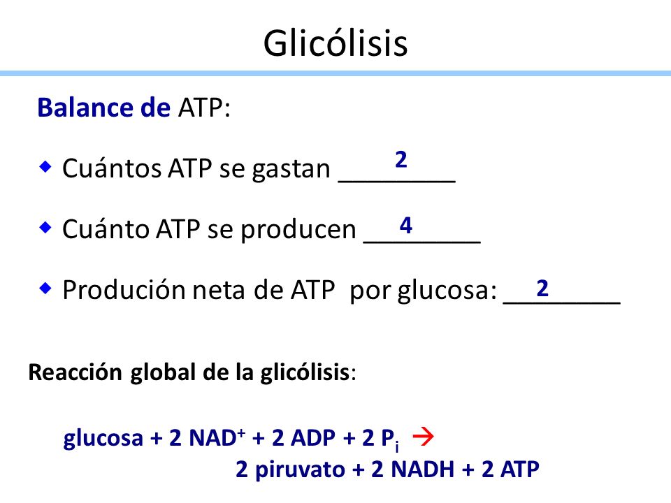 Glicólisis Balance de ATP: Cuántos ATP se gastan ________