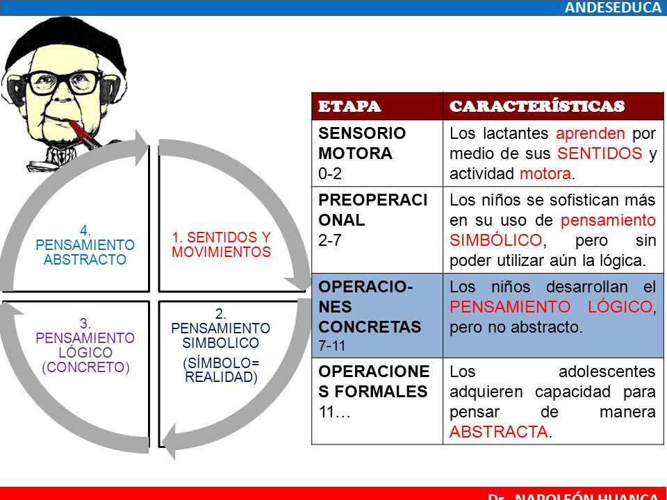 Los lactantes aprenden por medio de sus SENTIDOS y actividad motora.