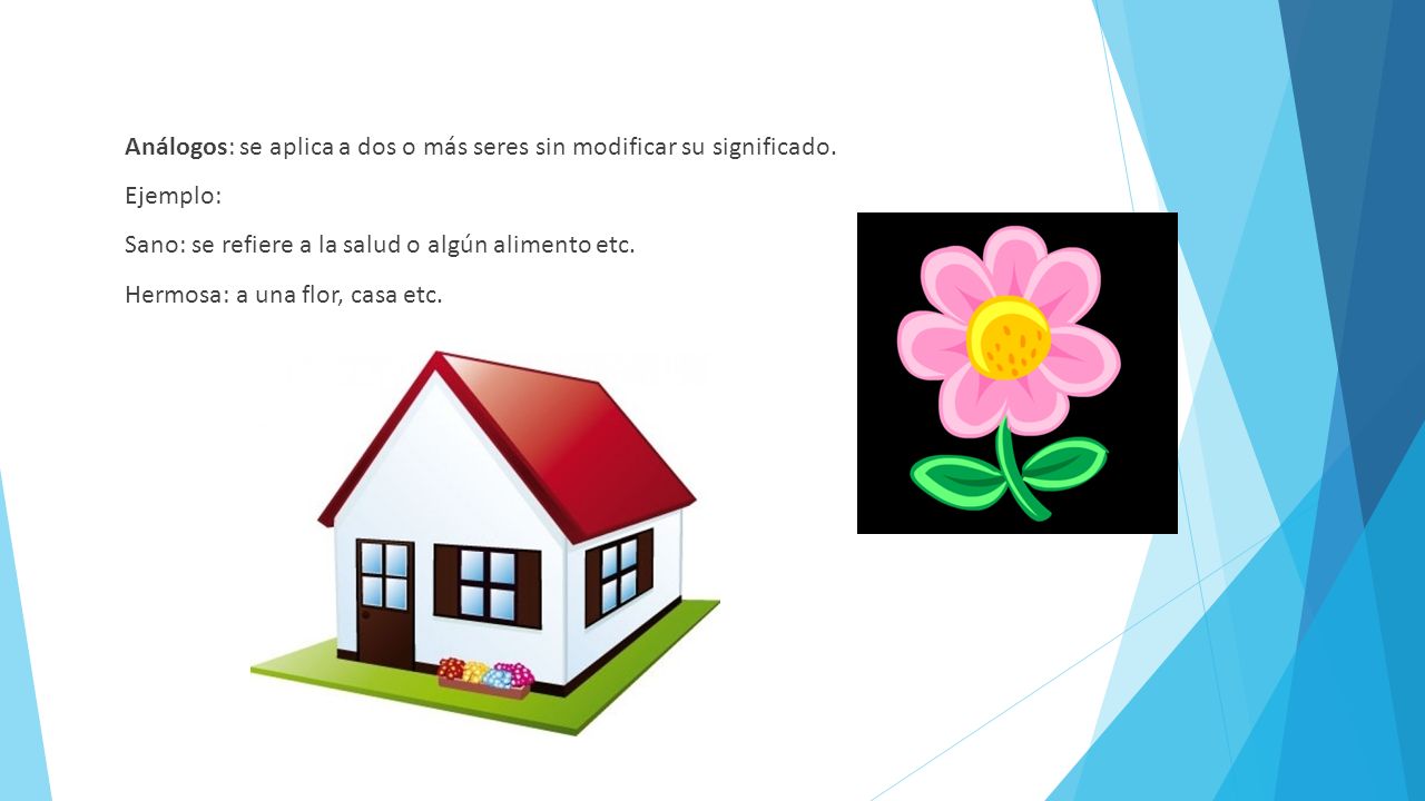 Análogos: se aplica a dos o más seres sin modificar su significado.