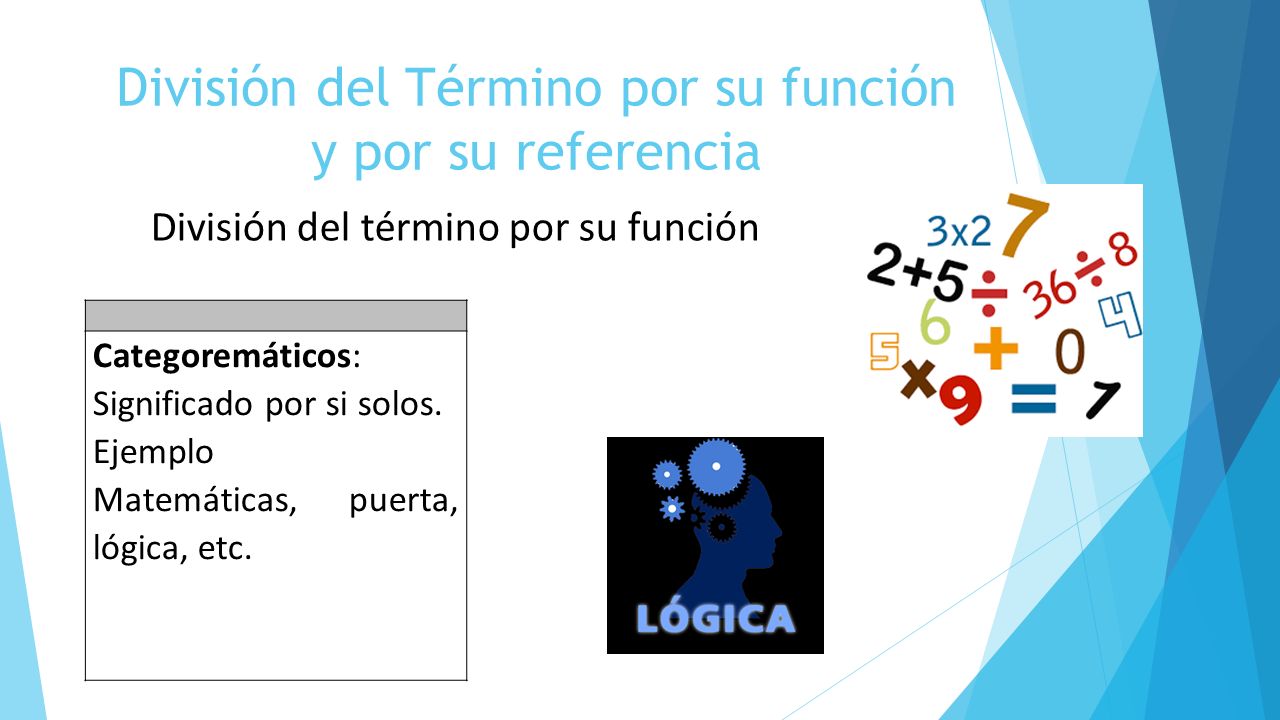 División del Término por su función y por su referencia