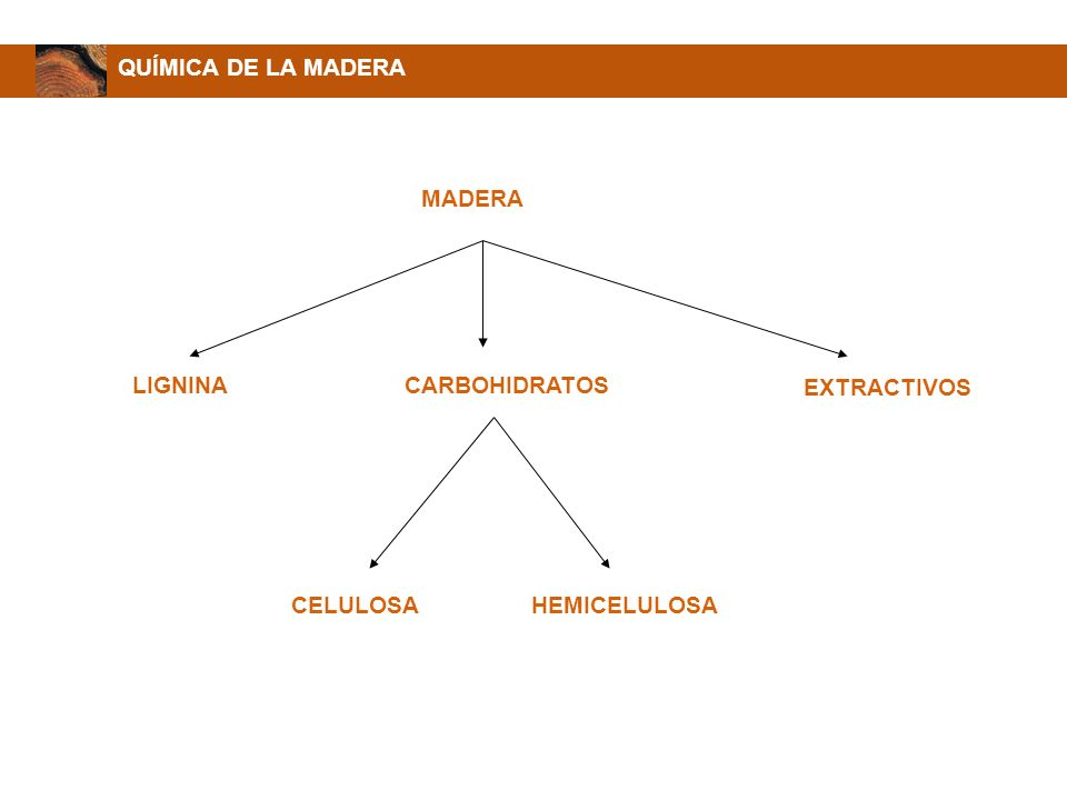 QUÍMICA DE LA MADERA MADERA LIGNINA CARBOHIDRATOS EXTRACTIVOS CELULOSA HEMICELULOSA