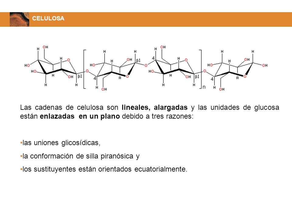 las uniones glicosídicas, la conformación de silla piranósica y