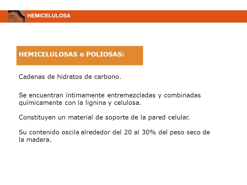 HEMICELULOSAS o POLIOSAS: