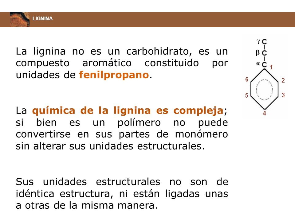 LIGNINA La lignina no es un carbohidrato, es un compuesto aromático constituido por unidades de fenilpropano.