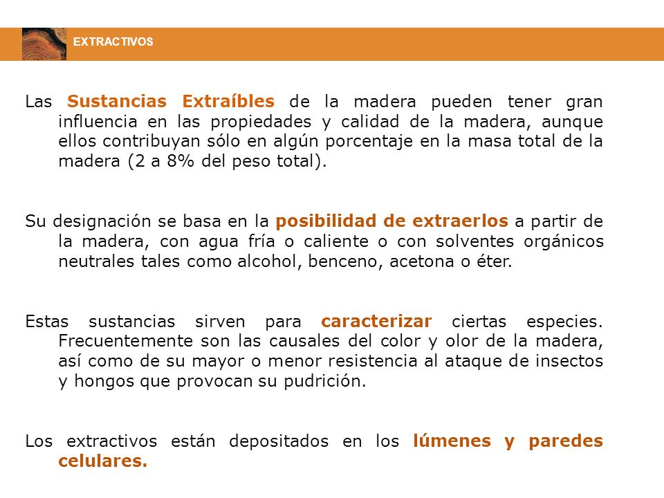 Los extractivos están depositados en los lúmenes y paredes celulares.