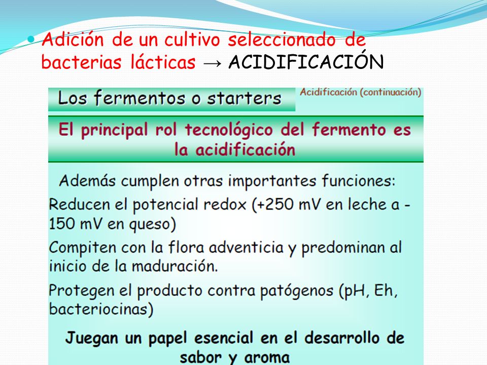 Adición de un cultivo seleccionado de bacterias lácticas → ACIDIFICACIÓN