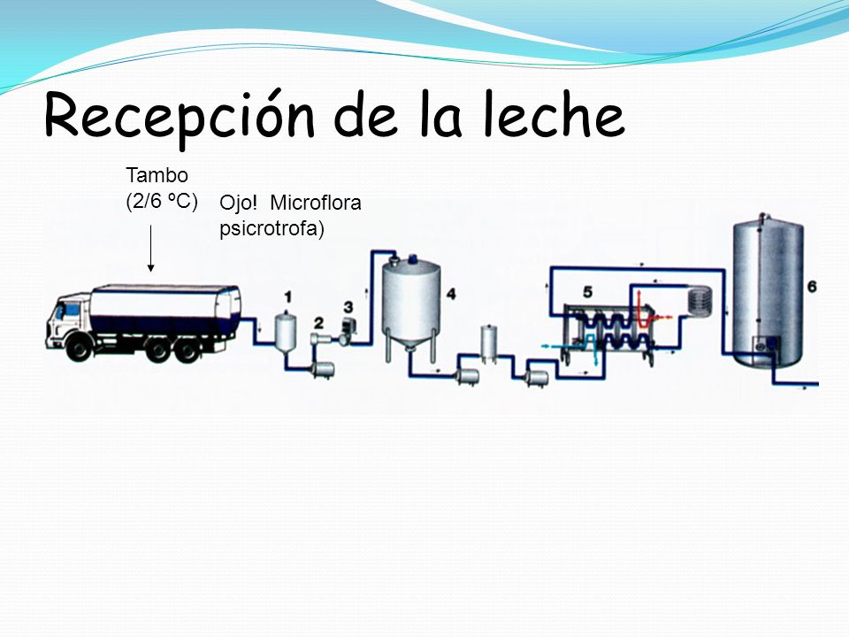 Recepción de la leche Tambo (2/6 ºC) Ojo! Microflora psicrotrofa)