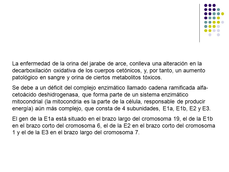 La enfermedad de la orina del jarabe de arce, conlleva una alteración en la decarboxilación oxidativa de los cuerpos cetónicos, y, por tanto, un aumento patológico en sangre y orina de ciertos metabolitos tóxicos.