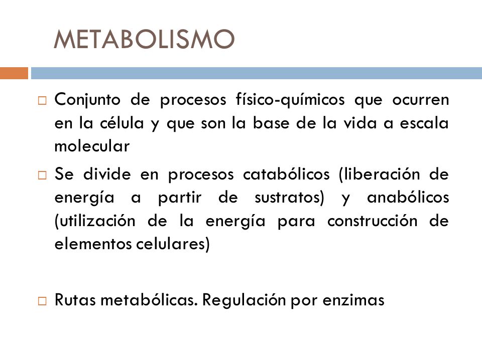 METABOLISMO Conjunto de procesos físico-químicos que ocurren en la célula y que son la base de la vida a escala molecular.