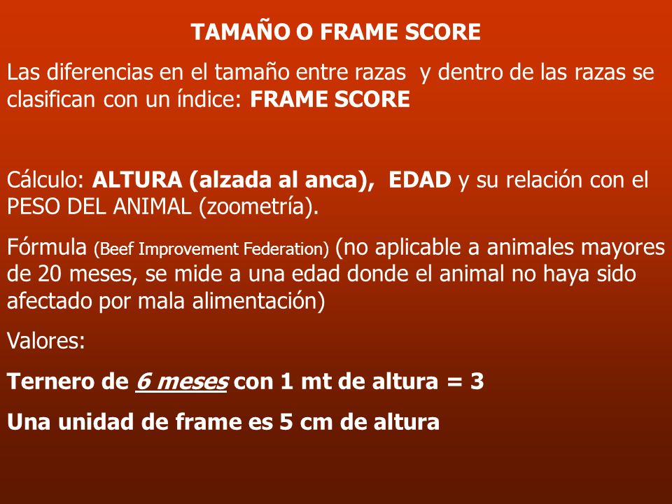 TAMAÑO O FRAME SCORE Las diferencias en el tamaño entre razas y dentro de las razas se clasifican con un índice: FRAME SCORE.